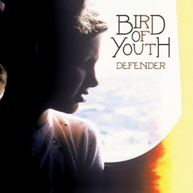 Defender - Secretly Store