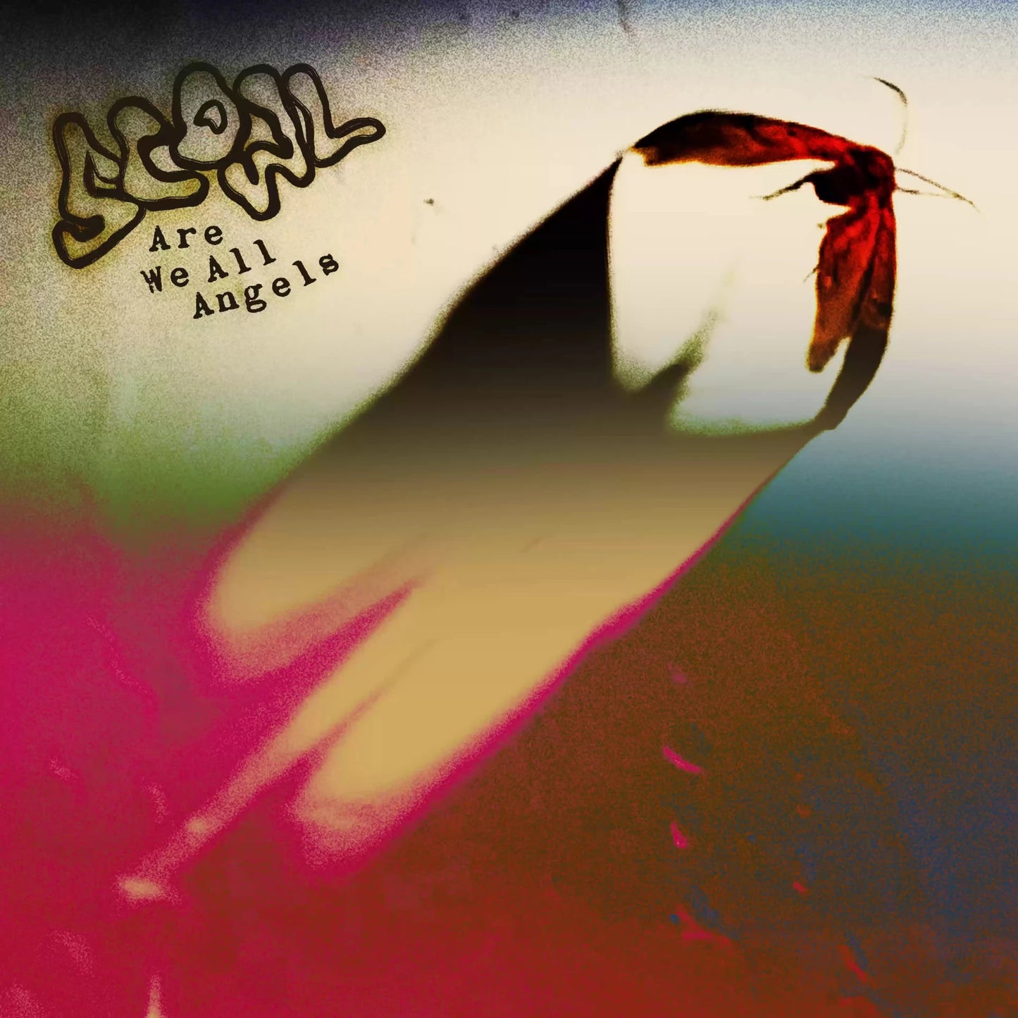 Are We All Angels (Secretly Society Record Club Exclusive) - Secretly Store