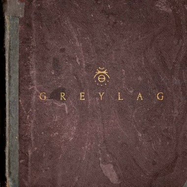 Greylag