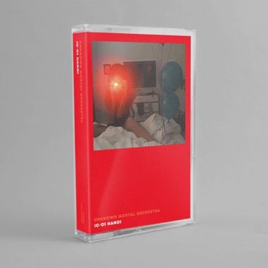 IC - 01 Hanoi - Secretly Store