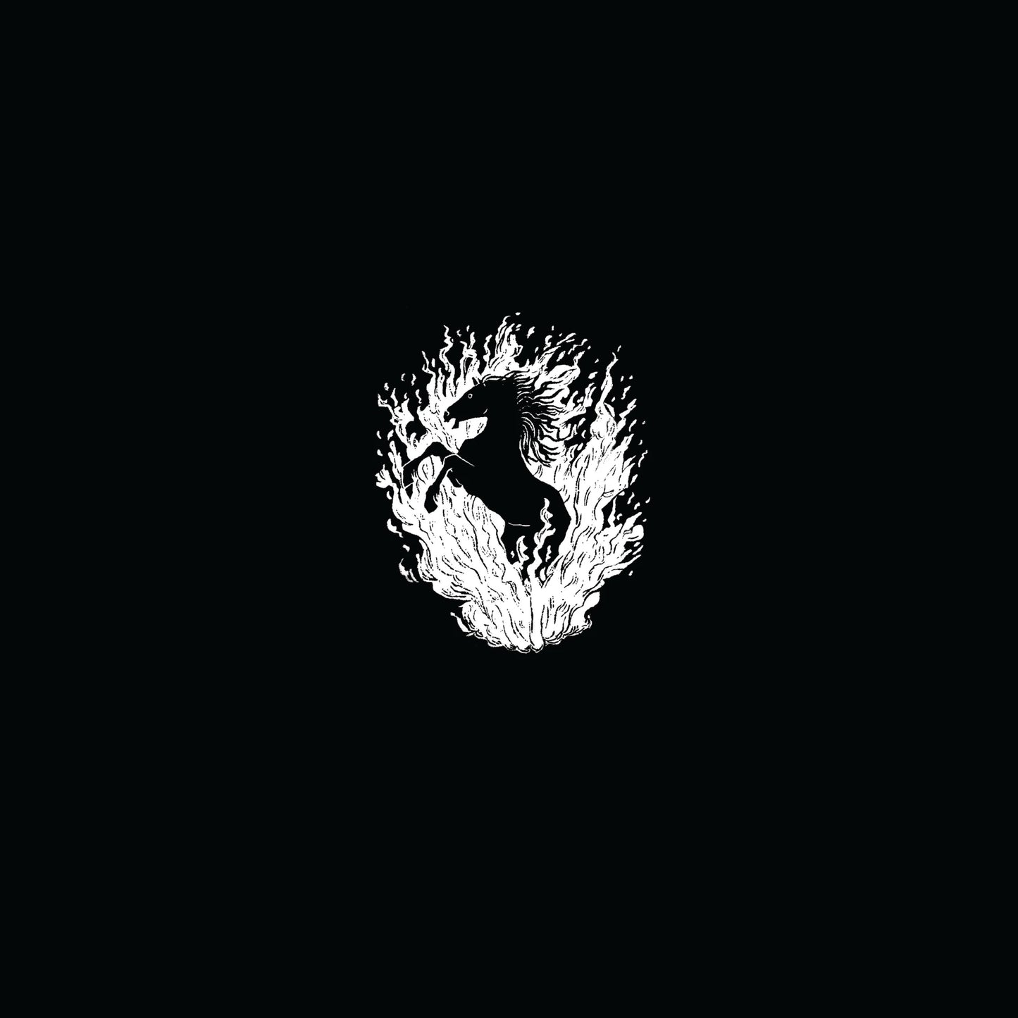 The Besnard Lakes Are A Live - Secretly Store
