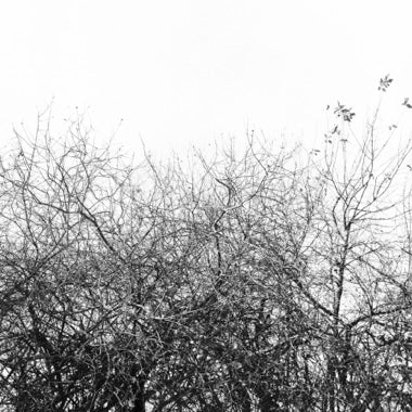 Lost With The Lights On