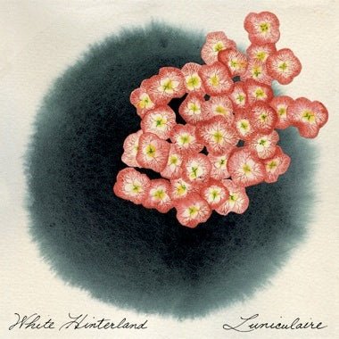 Luniculaire - Secretly Store