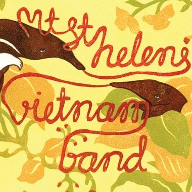 Mt. St. Helens Vietnam Band - Secretly Store