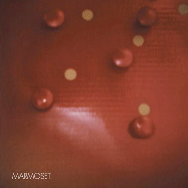 Record in Red - Secretly Store