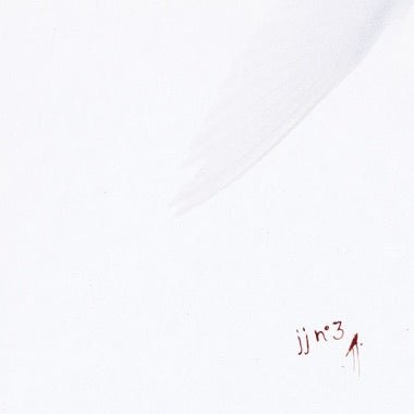 jj nº 3 - Secretly Store