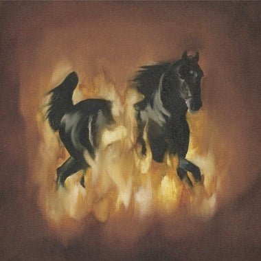 The Besnard Lakes Are The Dark Horse - Secretly Store