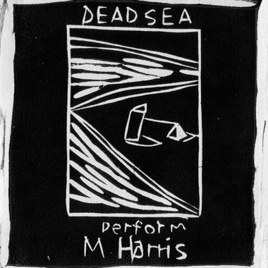 The Dead C Perform M. Harris