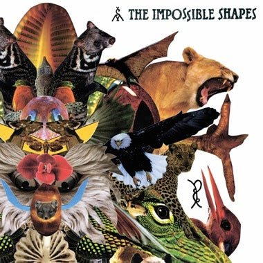 The Impossible Shapes - Secretly Store