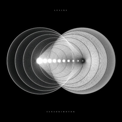 Sensorimotor - Secretly Store
