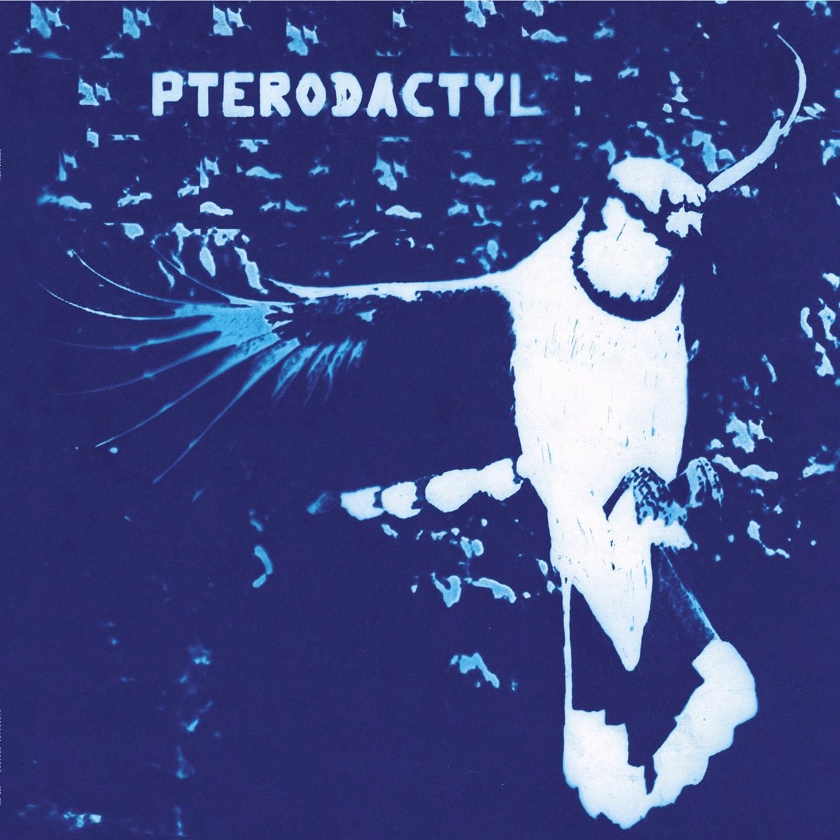 Pterodactyl - Secretly Store