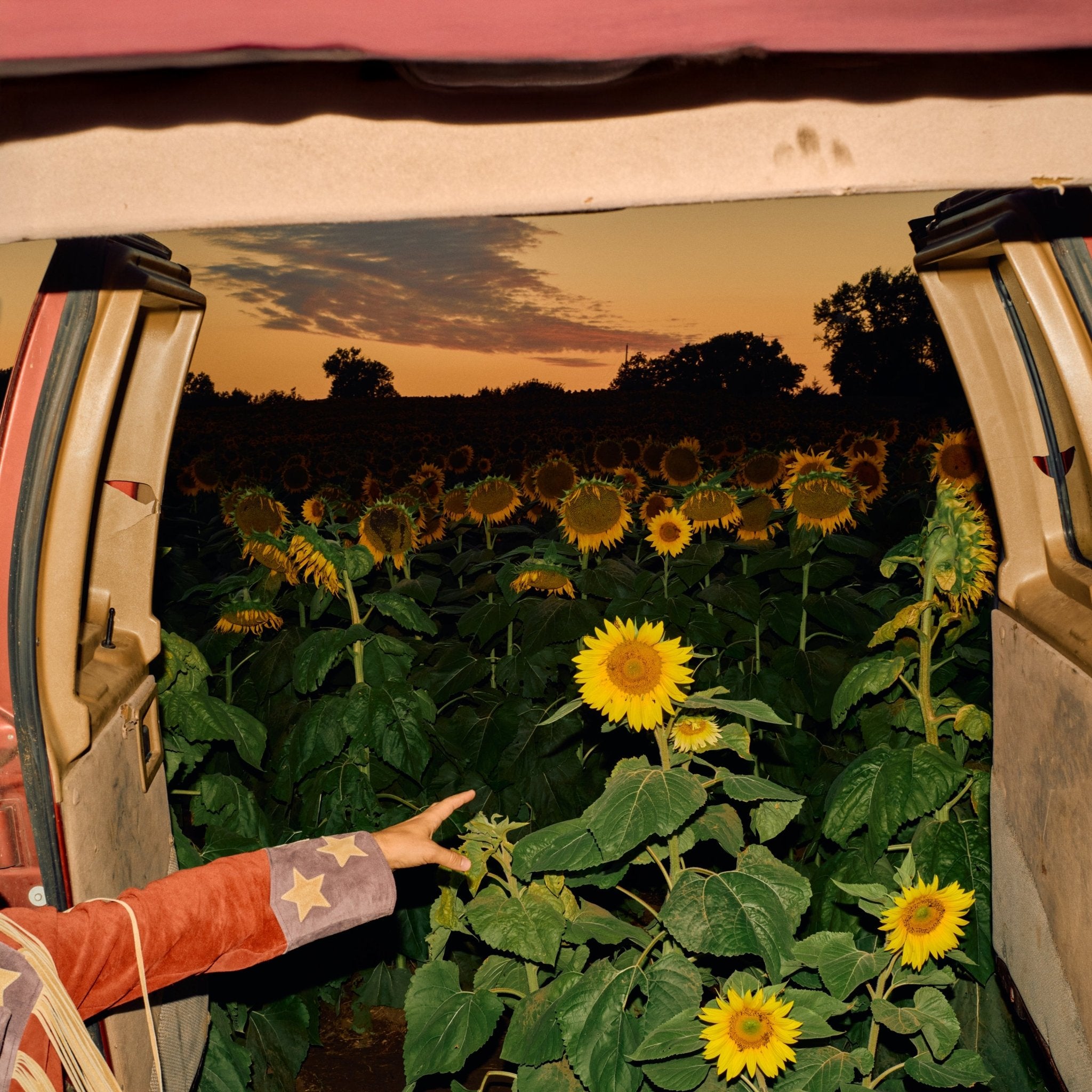 Little Wide Open – Secretly Store