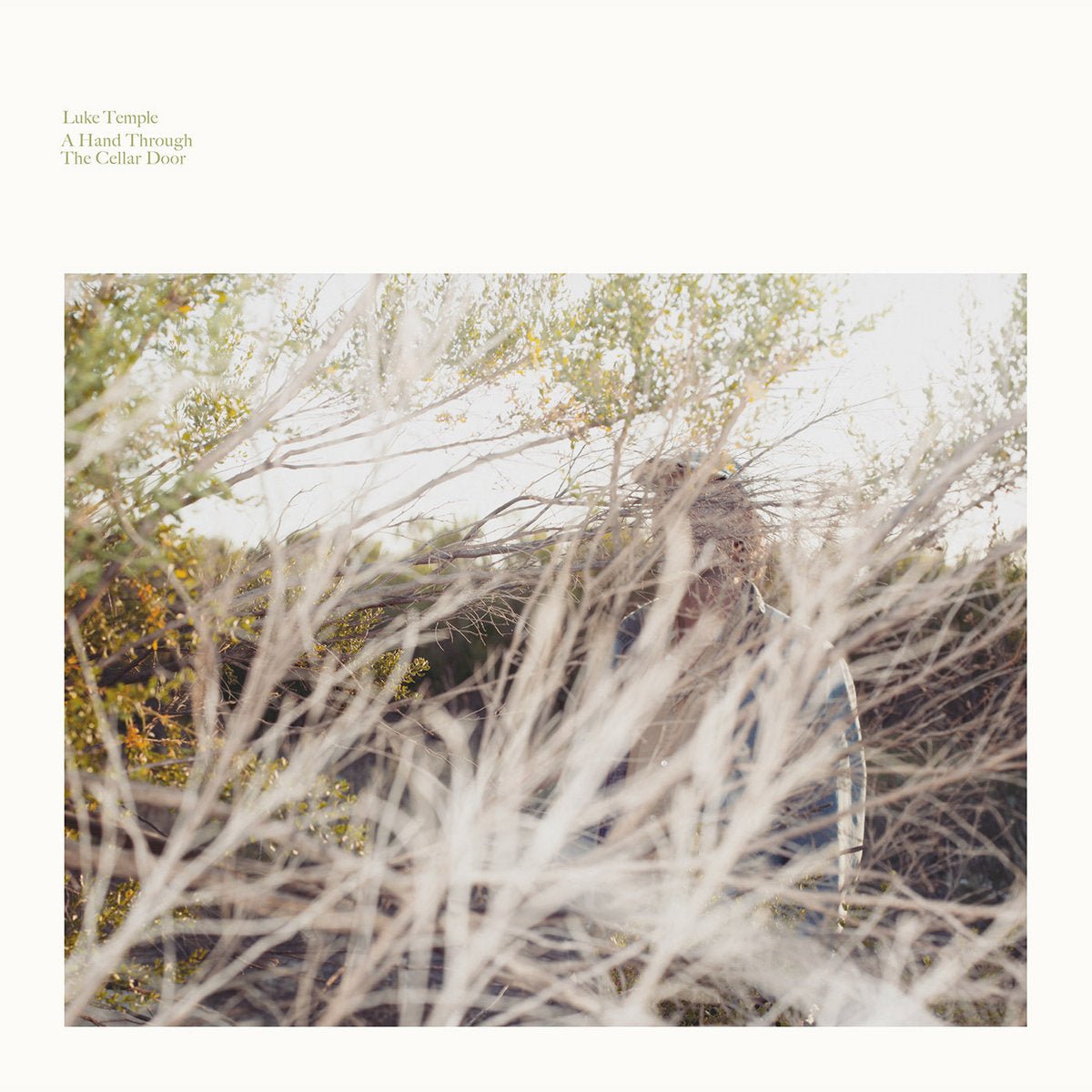 A Hand Through The Cellar Door - Secretly Store