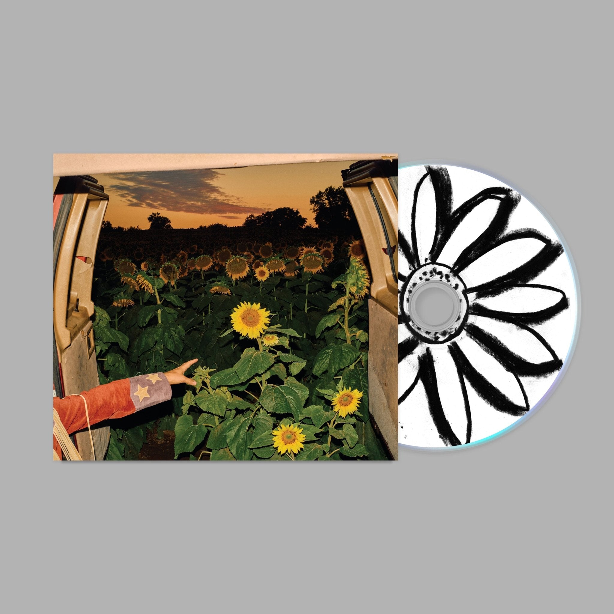 Little Wide Open – Secretly Store