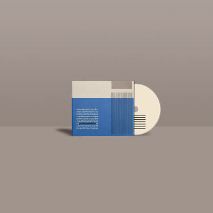 Preoccupations
