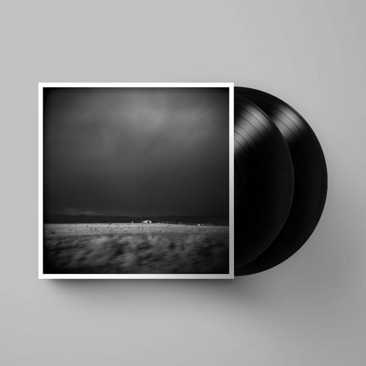 Placer Found (20th Anniversary Edition)