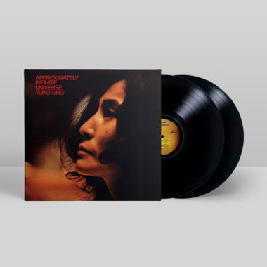 Approximately Infinite Universe