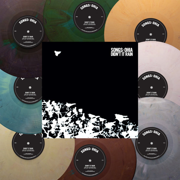 Didn't It Rain (ReVinyl) – Secretly Store